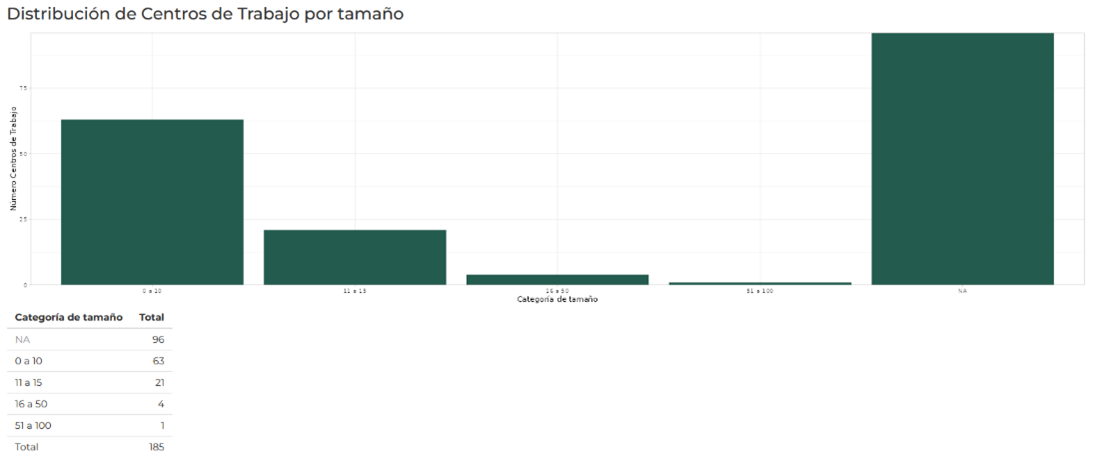 Sección Distribución de Centros de Trabajo por Tamaño. Pestaña Análisis.